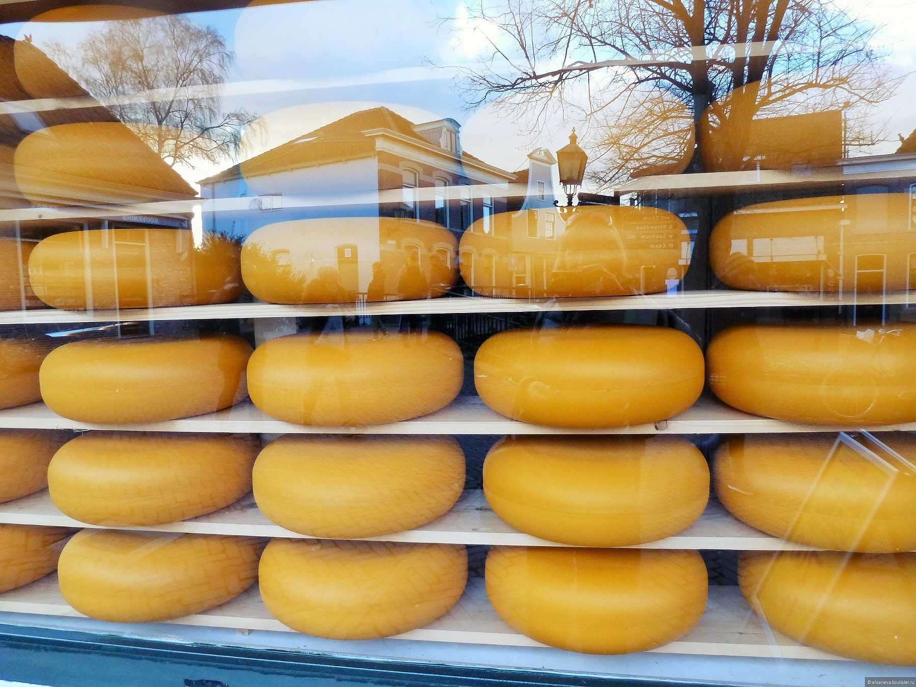Edam